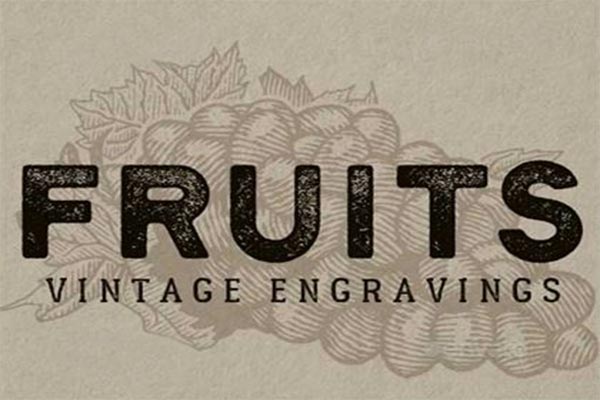 Fruits Packaging Designs | Free & Premium 32+ Photoshop | Vector | Downloads
